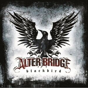 Blackbird